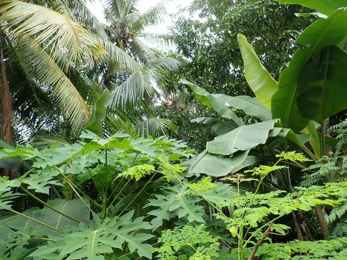 Fuvahmulah Inn Exterior photo